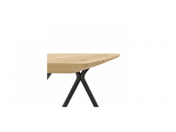 b12bfc14ef19d0da7d226a9e7f93910b67663cf9 Global Family Esstisch 3150 detailbild 2 103288