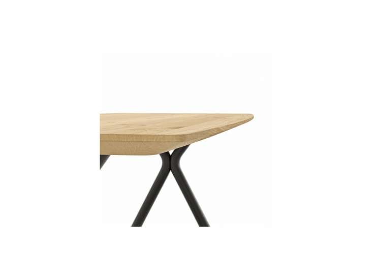 b12bfc14ef19d0da7d226a9e7f93910b67663cf9 Global Family Esstisch 3150 detailbild 2 103288