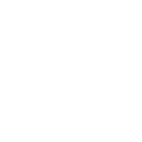 Logo Ronald Schmitt v2