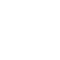 Logo bodani v2